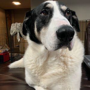 Meet your Posher, Staci